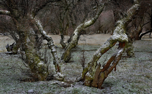 1143484 (a): :2800x1719